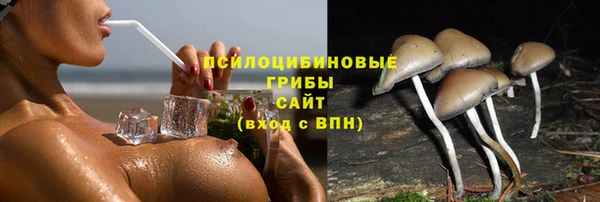 метадон Белокуриха