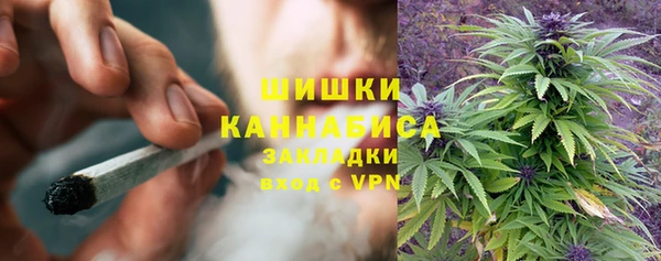 метадон Белокуриха
