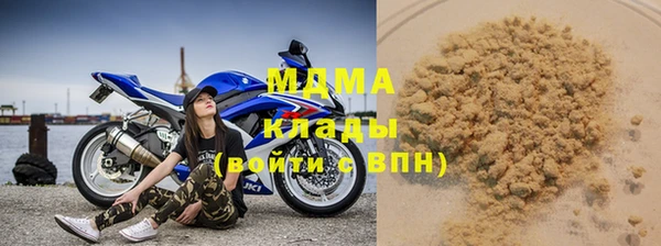 молекула духа Вяземский