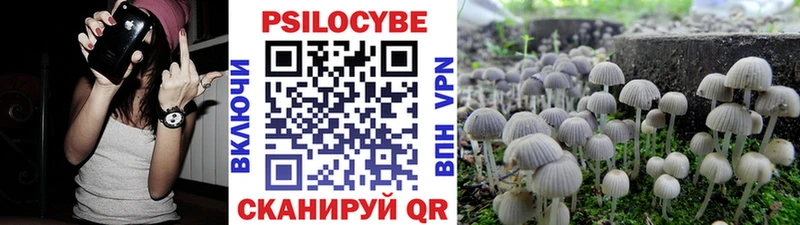darknet состав  Видное  Галлюциногенные грибы мицелий 
