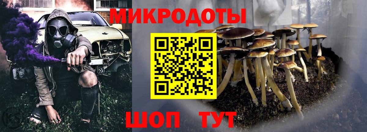 Псилоцибиновые грибы Psilocybe  Вход с VPN  Видное 